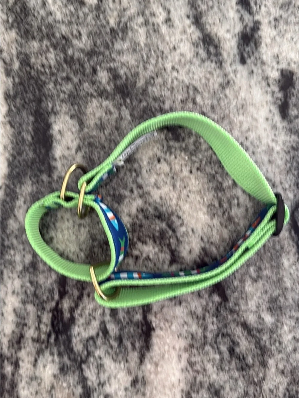 Martingale Green with Blue Patterned Dog Collar